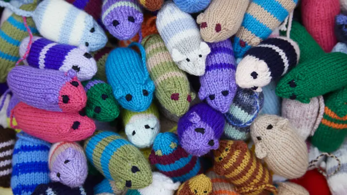 Woman’s Weekly sets Guinness World Record