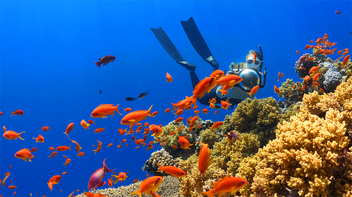 Pixometry launches v14