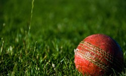 The Telegraph announces Ashes coverage line-up