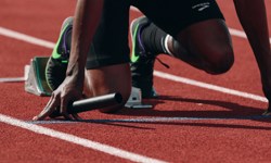 Telegraph unveils sport coverage plans