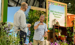 Immediate launches IX